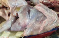 ضبط  دجاج وأجزاء دجاج مخالفة بمجزر للدواجن غير مرخص بمركز الإبراهيمية