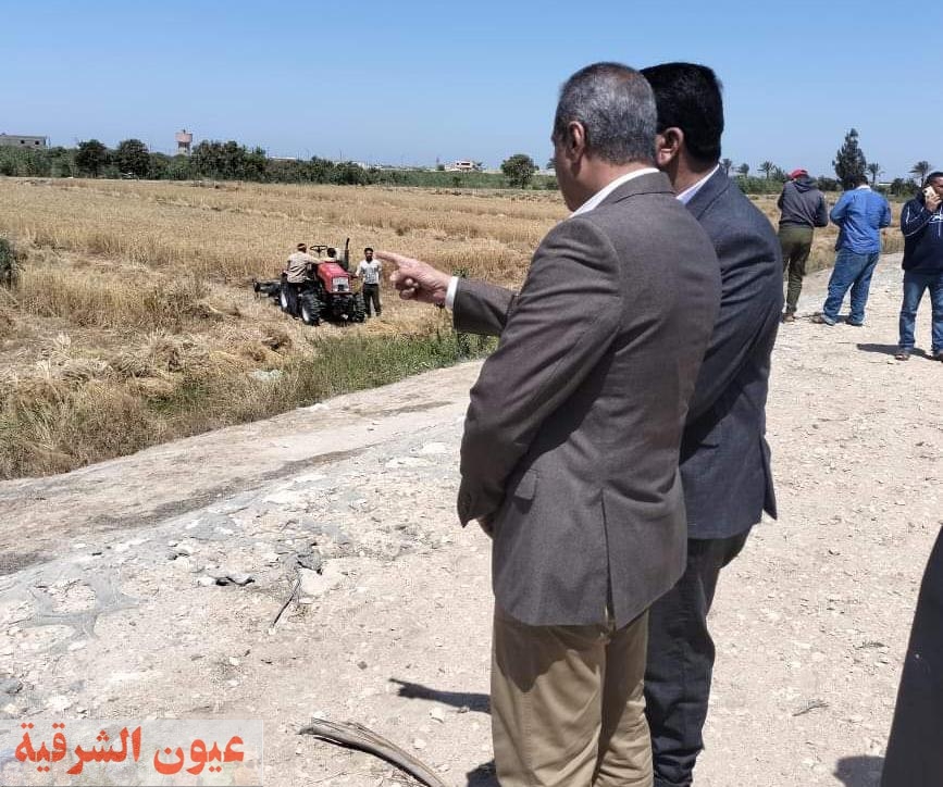 فتتاح موسم حصاد القمح في منطقة سهل الطينة محافظة بورسعيد