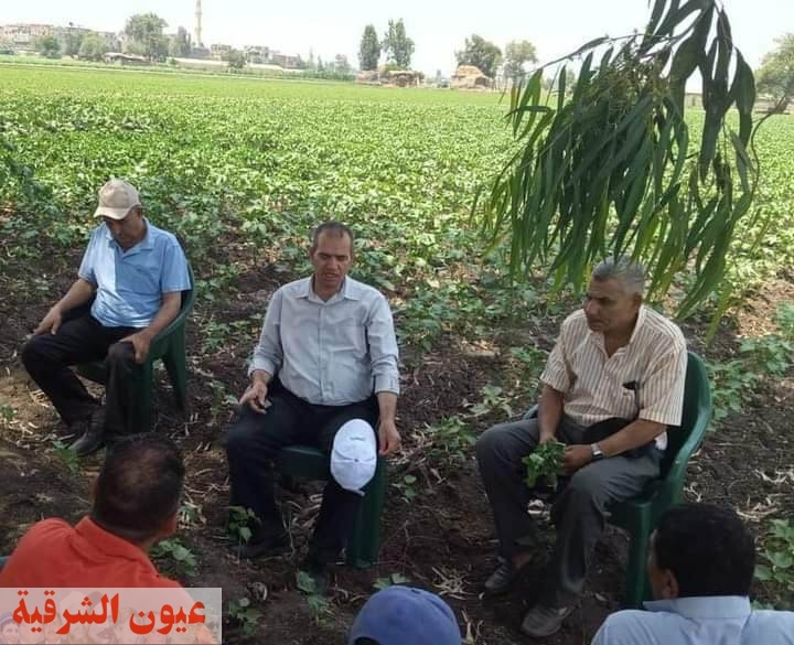 ندوة ارشادية عن افات المحاصيل الصيفية لمزارعي قرية جميزة بني عمرو بديرب نجم