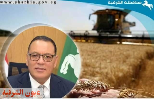 إنتظام أعمال توريد محصول القمح لشون وصوامع محافظة الشرقية
