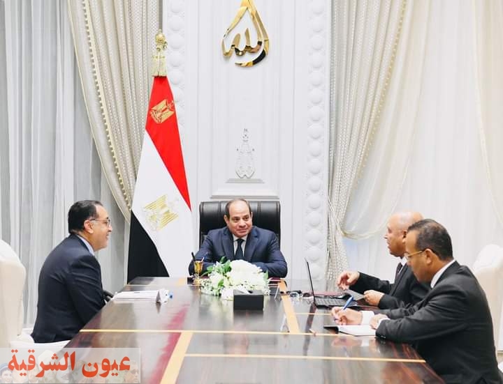 السيسي يوجه بتعزيز نشاط الموانئ المصرية إقليميًا وعالميًا