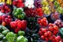 أسعار الخضروات و الفاكهة اليوم الثلاثاء في سوق العبور والجملة 27-2- 2024