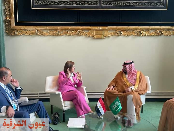 وزيرة التخطيط تلتقي مع نظيرها السعودي لبحث آليات تعزيز التعاون