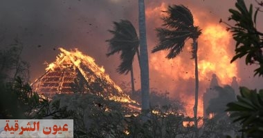 تعرف على آخر تطورات حرائق الغابات فى هاواى الأمريكية الضحايا حتى الان