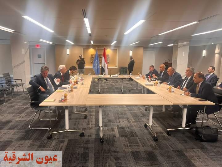 مشاورات ثنائية بين وزيري خارجية مصر والبرتغال في نيويورك