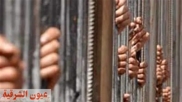 السجن لمتهمين بسرقة شركة فى بورسعيد