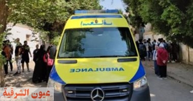 مصرع شخصين وإصابة ثالث في حادثين مروعين ببني سويف