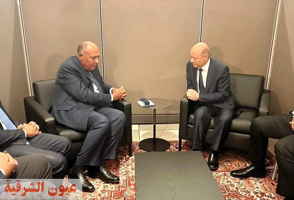 وزير الخارجية يلتقي مع رئيس القيادة اليمني في نيويورك لتناول مستجدات الوضع اليمني 