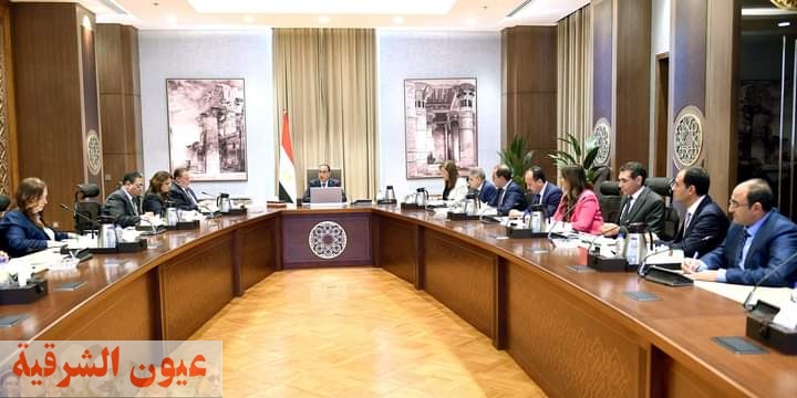رئيس الوزراء يتابع موقف المبادرات الخاصة بإتاحة المزيد من المحفزات للمصريين بالخارج