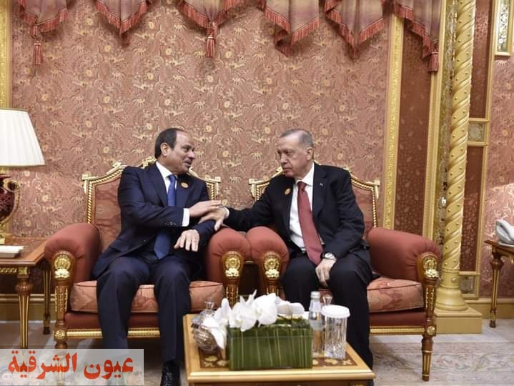 علي هامش قمة الرياض.. السيسي يبحث التعاون المشترك مع رئيس تركيا