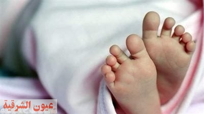 أبشعها اغتصاب طفلة.. جرائم قتل هزت مركز أبو حماد بالشرقية
