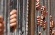 السجن المشدد لمتهمين بإنهاء حياة شخص خلال مشاجرة في القليوبية