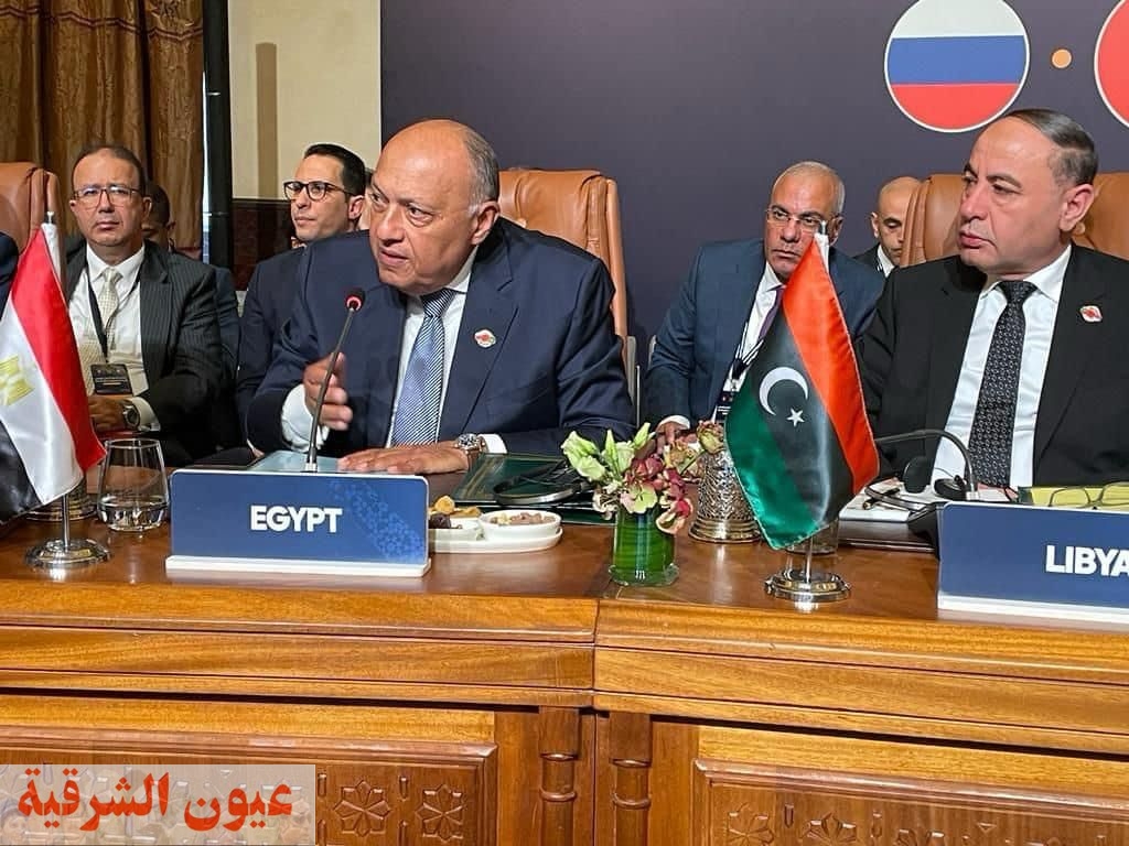شكري يلقي كلمة مصر خلال الدورة السادسة لمنتدى التعاون العربي الروسي