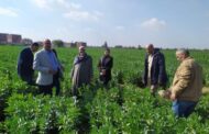 الزراعة: حملات ميدانية مكثفة ينفَّذها معهد بحوث وقاية النباتات لحماية المحاصيل الشتوية