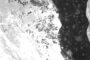 التعليم العالي : نجاح مصر في استقبال أول صور من القمر الصناعي التجريبي NEXSAT-1