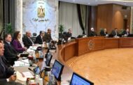 مجلس الوزراء يُحدد سعر ضمان لتوريد القطن للموسم 2024/2025
