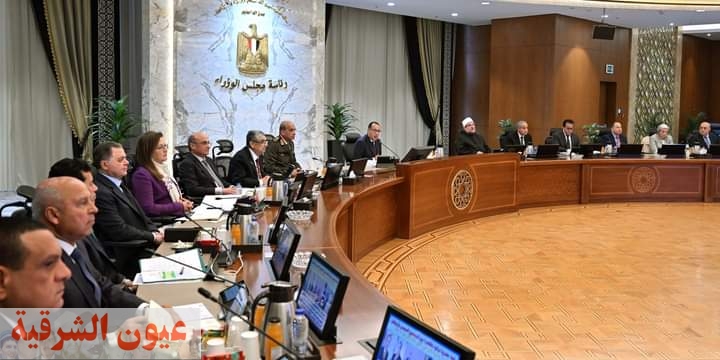 مجلس الوزراء يُحدد سعر ضمان لتوريد القطن للموسم 2024/2025