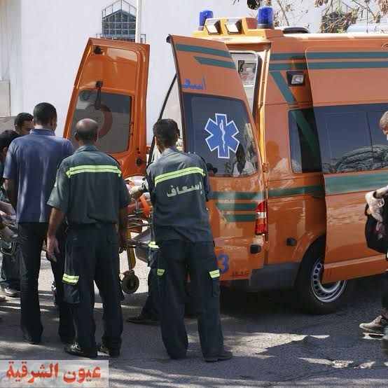 ما بين جروح وكدمات.. إصابة 3 أشخاص إثر حادث انقلاب سيارة في الشرقية