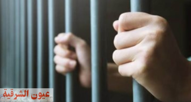حبس 3 متهمين بسرقة طبيب وصيدلي في القاهرة