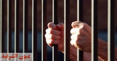 محكمة الجنايات تحكم بالمشدد لشخص وزوجته في طنطا