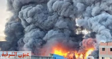 السيطرة على حريق بمصنع مواد غذائية في الشرقية