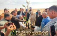 محافظ شمال سيناء يسلم المنتفعين في تجمع النثيلة الأشجار المثمرة