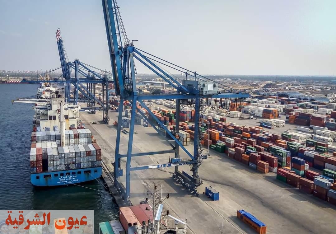 الهيئة العامة لميناء دمياط تصدر عدد استقبال السفن خلال 24 ساعة الماضية 