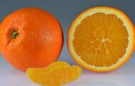 ريجيم البرتقال لإنقاص الوزن