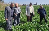 محافظ كفرالشيخ يتابع جهود الفرق التوعوية للمحاصيل الزراعية الشتوية