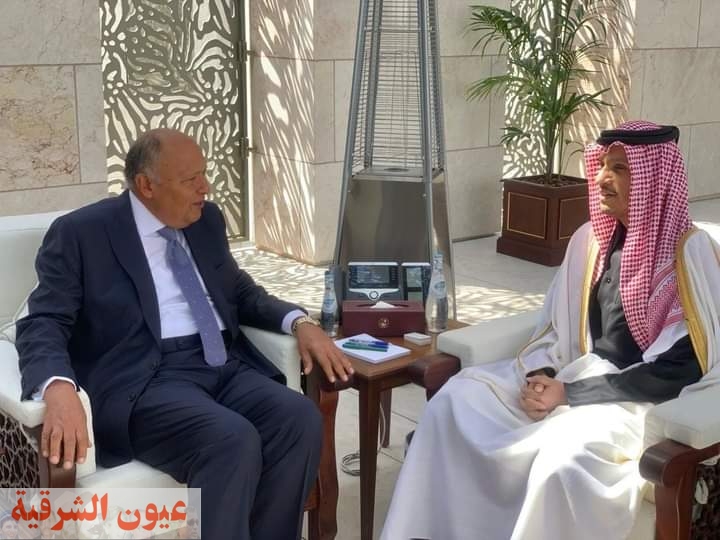 وزير الخارجية يعقد اجتماعاً ثنائياً مع أخيه رئيس مجلس الوزراء دولة قطر