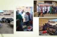 تنظيم قافلة طبية علاجية بيطرية بقرية مباشر التابعة لمركز و مدينة الإبراهيمية