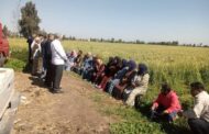 محافظ كفرالشيخ: ندوة إرشادية للمزارعين لمناقشة استعدادات زراعة المحاصيل الصيفية