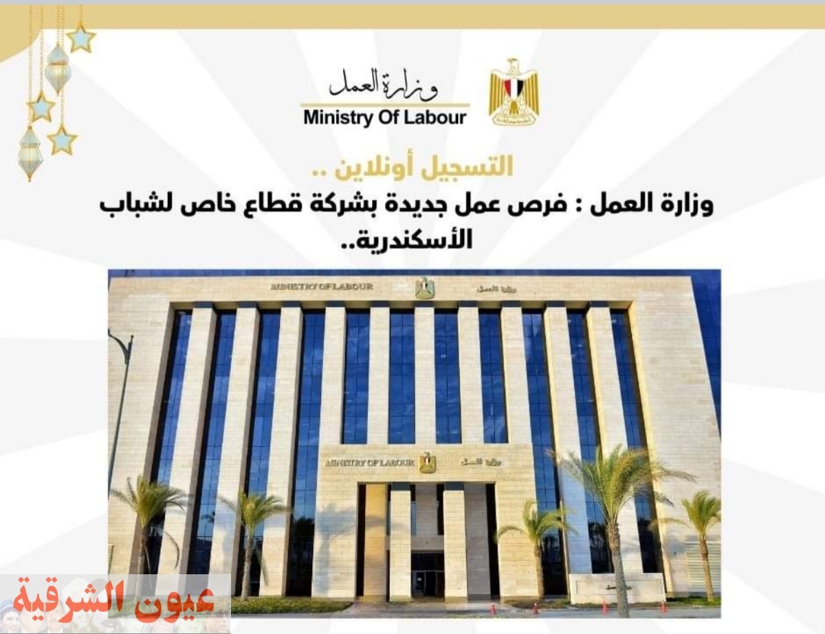 وزارة العمل فرص جديدة بشركة قطاع خاص لشباب الأسكندرية   