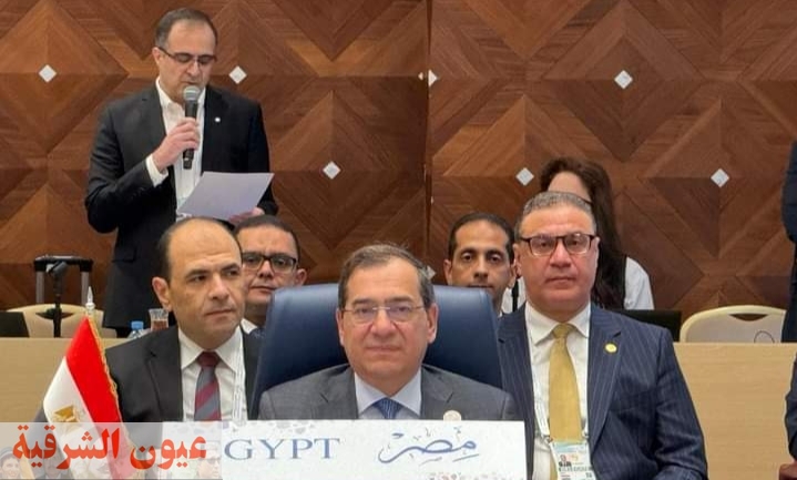 حضور مصري فاعل فى القمة السابعة لمنتدى الدول المصدرة للغاز بالجزائر