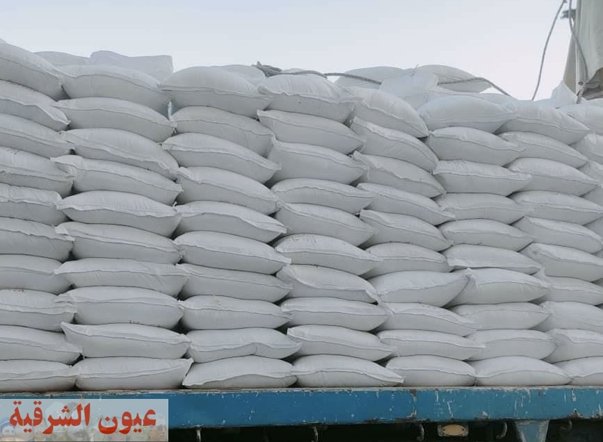 محافظ أسيوط: ضبط سكر وأرز تم تجميعها بالمخازن غير المرخصة في منقباد