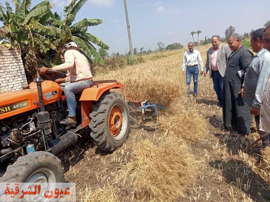 وزير الزراعة يعلن عن بدء موسم حصاد وتوريد القمح..وبالتيسير على المزارعين
