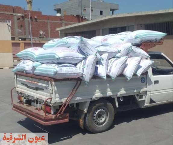 إنتظام أعمال توريد محصول القمح لصوامع وشون محافظة الشرقية