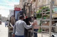 محافظة الجيزة ترفع 1400 حالة إشغال للمحلات والمقاهي 