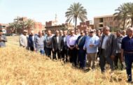 محافظ الشرقية يشهد افتتاح موسم حصاد محصول القمح لعام 2024 في الزقازيق