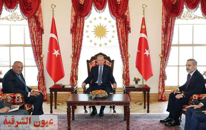 خلال زيارته لإسطنبول.. رئيس الجمهورية التركية يستقبل وزير الخارجية المصري
