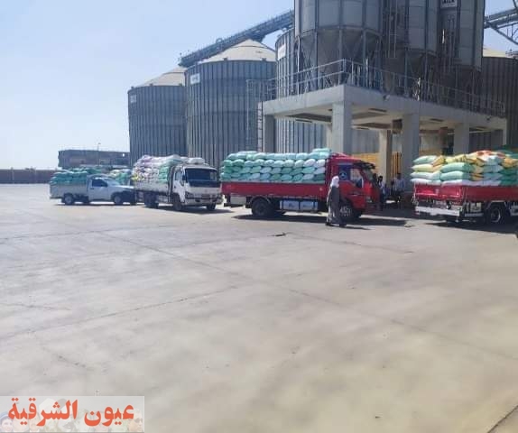 إستمرار توافد محصول القمح على صوامع وشون محافظة الشرقية2024م