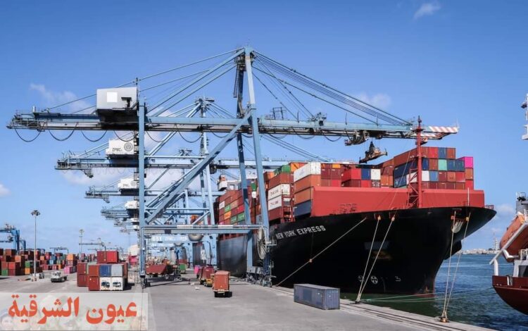 خلال الـ24 ساعة الماضية.. ميناء دمياط يتابع صادرات وواردات السفن