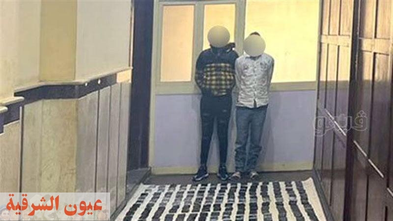 ضبط عاطلين بحوزتهما مواد مخدرة وأسلحة في الإسكندرية