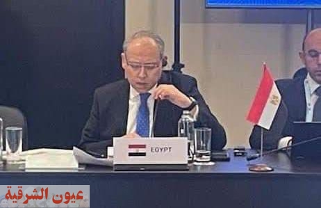مصر تشارك في اجتماع لدول البريكس عن الشرق الأوسط والمنطقة العربية بموسكو