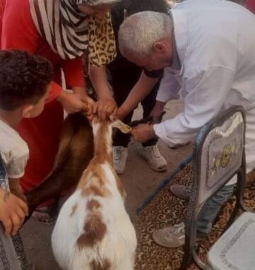 بيطري الشرقية ينظم قافلة طبية مجانية لتنمية الريف المصري في مشتول