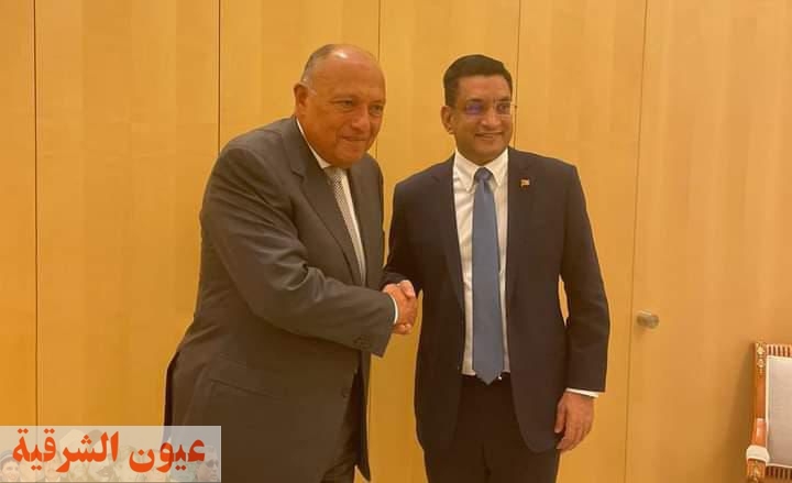 وزير الخارجية يلتقى بوزير خارجية سريلانكا علي هامش المنتدي الاقتصادي العالمى بالرياض