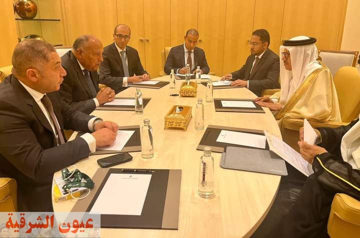 وزير الخارجية يلتقي وزير خارجية البحرين على هامش المنتدى الاقتصادي العالمي في الرياض