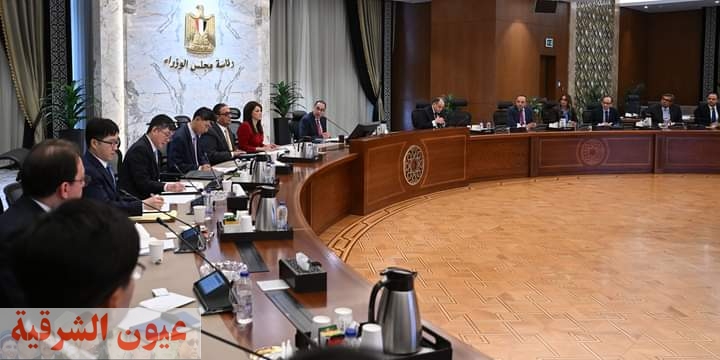 مدبولي: الحكومة المصرية مهتمة بتوسيع نطاق الاستثمارات الكورية الجنوبية في المجالات المختلفة