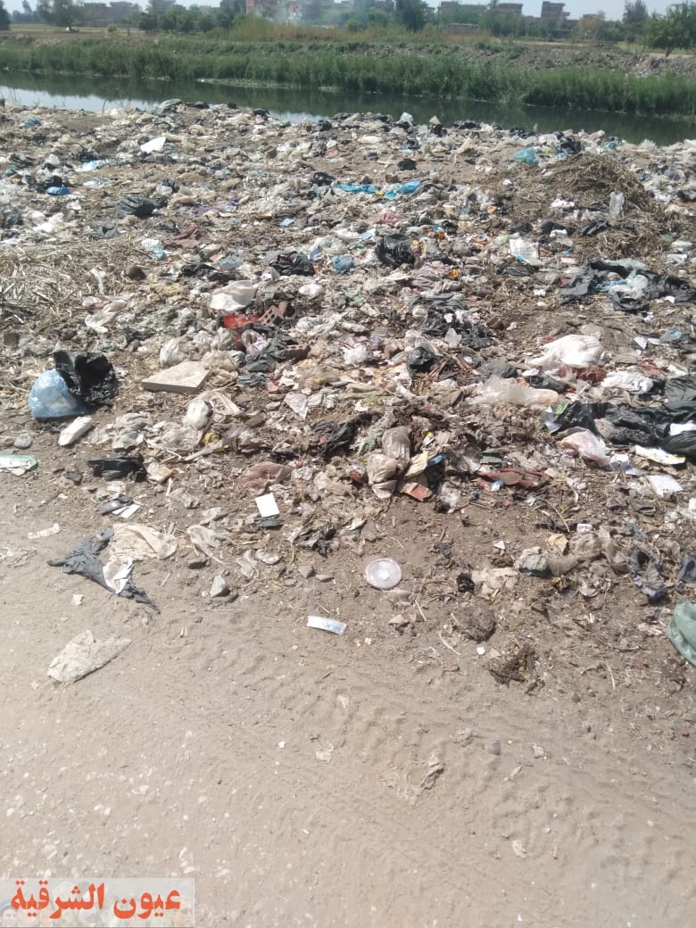 قرية الهيصمية في فاقوس تعاني من القمامة والمسئولين 