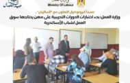 وزارة العمل تعلن بدء اختبارات الدورات التدريبية لسوق العمل لشباب الأسكندرية   